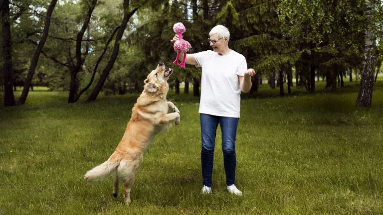 Paciente passeando e bricando com o cachorro no parque 