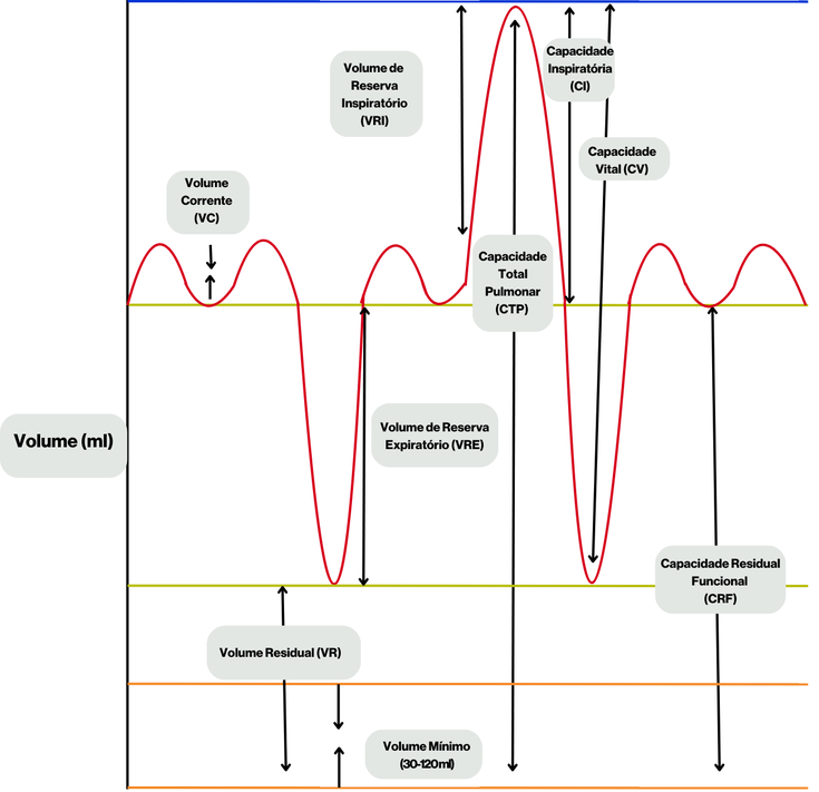 Gráfico de volumes e capacidades pulmonares