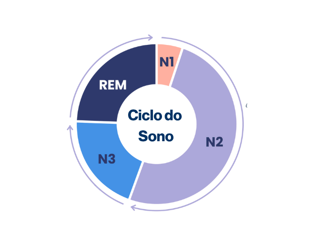 Figura sobre ciclos por período de sono